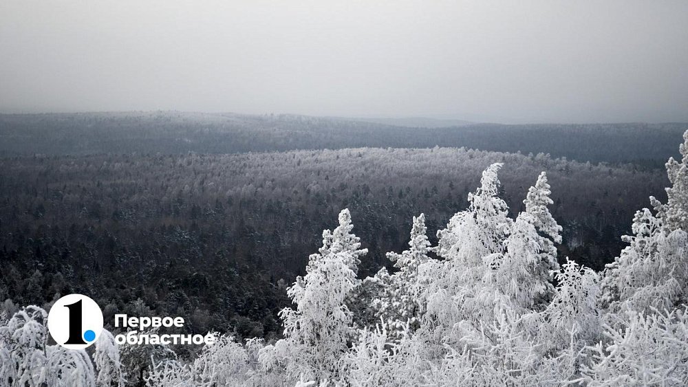 В Челябинской области установят фотоловушки у нелегальных свалок