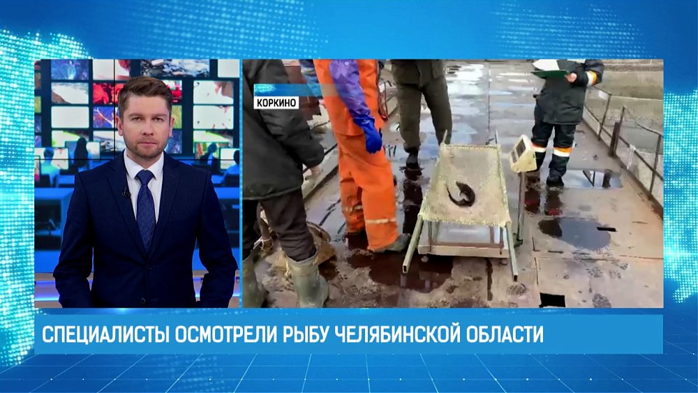 Специалисты осмотрели рыбу Челябинской области