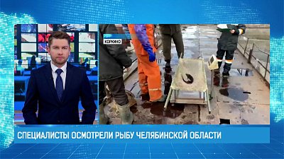 Специалисты осмотрели рыбу Челябинской области