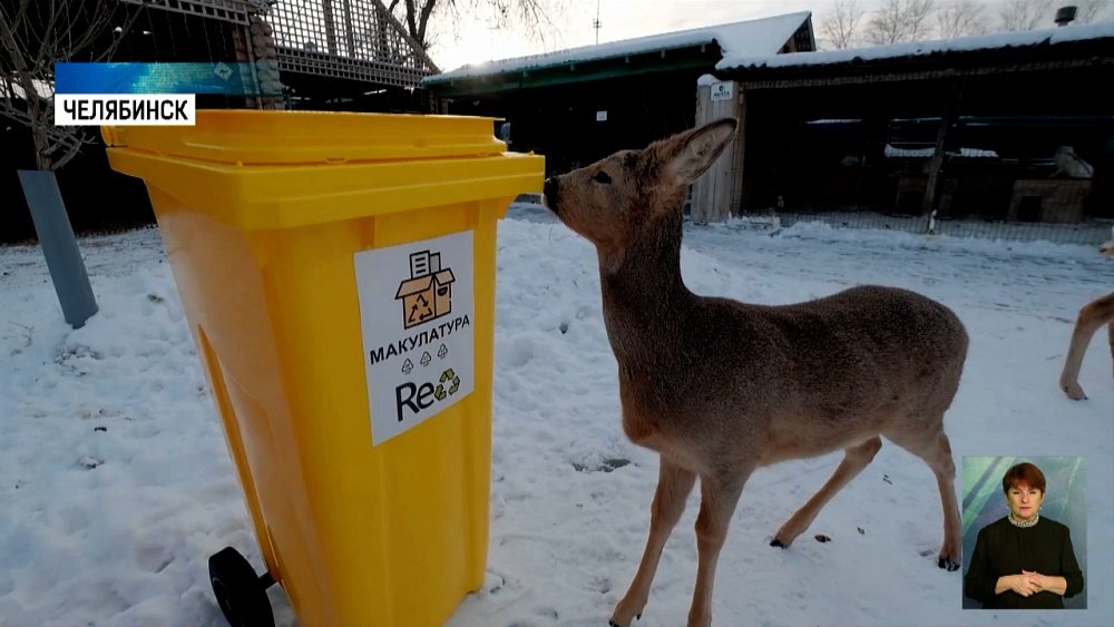 Приют начал принимать электронное вторсырьё