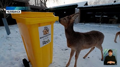 Приют начал принимать электронное вторсырьё