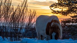 Иней, снег и рассветы: Челябинская область встречает зиму