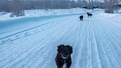 Иней, снег и рассветы: Челябинская область встречает зиму