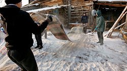 В Челябинской области молодоженов поселят в полевом лагере и покажут деревенский быт