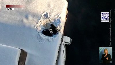 Волонтеры спасли щенят в Сатке