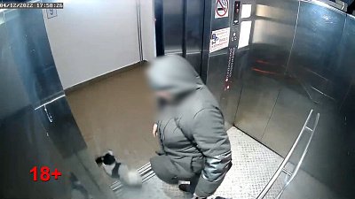 Жестокое обращение с собакой зафиксировала камера в одном из лифтов Челябинска