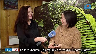 Детеныш королевского питона в «Прямом включении»