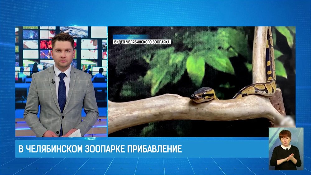 В Челябинском зоопарке прибавление