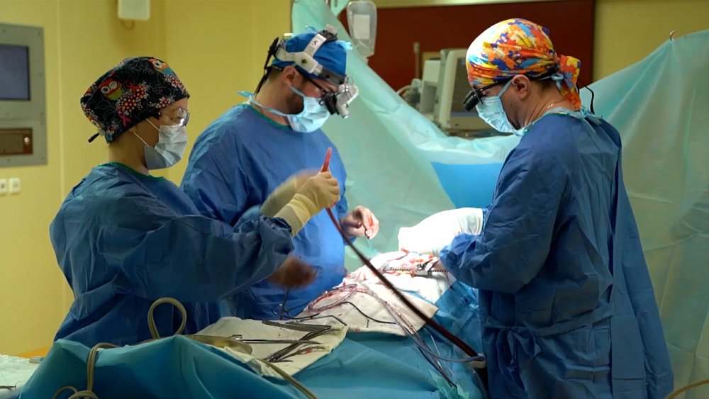 О здоровье 10.12.2022