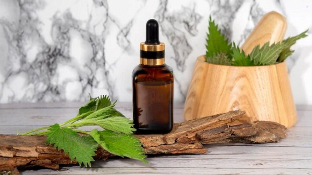 Лекарственные растения решат проблемы с кожей