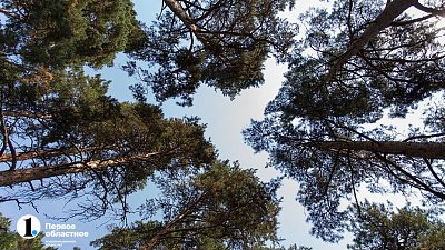 Границы зеленого пояса в Челябинске определит компания из Башкирии