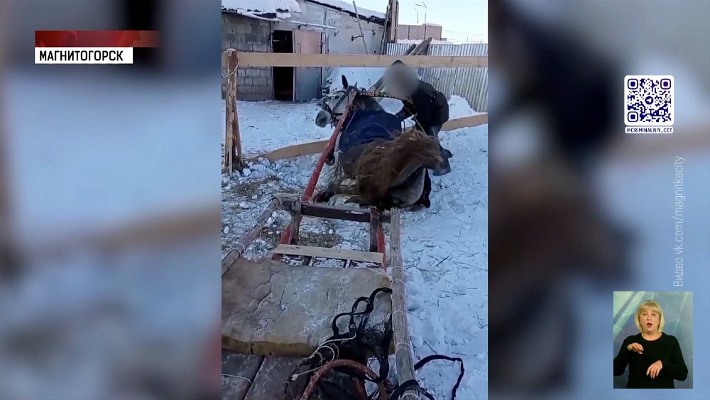 В Магнитогорске лошадь застряла в повозке
