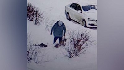 В Челябинске кража куста попала в объектив камеры