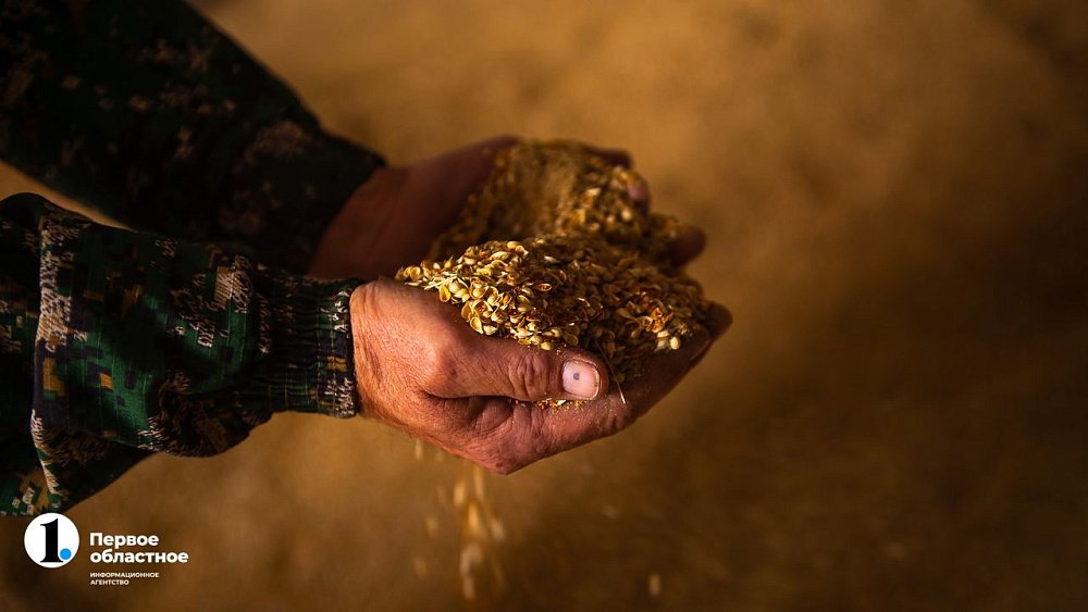 В Челябинской области продолжатся программы поддержки сельского хозяйства