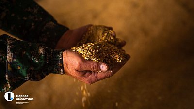 В Челябинской области продолжатся программы поддержки сельского хозяйства