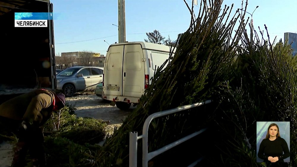 Лесничество предупредило злоумышленников