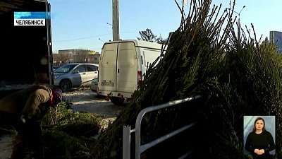 Лесничество предупредило злоумышленников