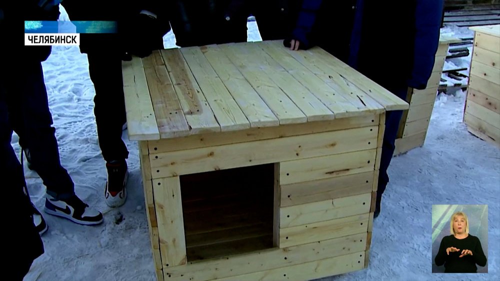 Подростки смастерили будки собакам