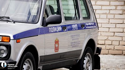 Полицейские обнаружили тушу косули в автомобиле челябинца