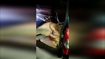 В Челябинской области госавтоинспекторы обнаружили тушу косули при досмотре машины