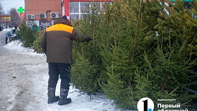 Новогодние елки подорожали в Челябинске на 70%