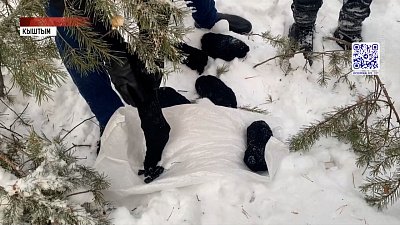 В Кыштыме задержали крупных наркокурьеров