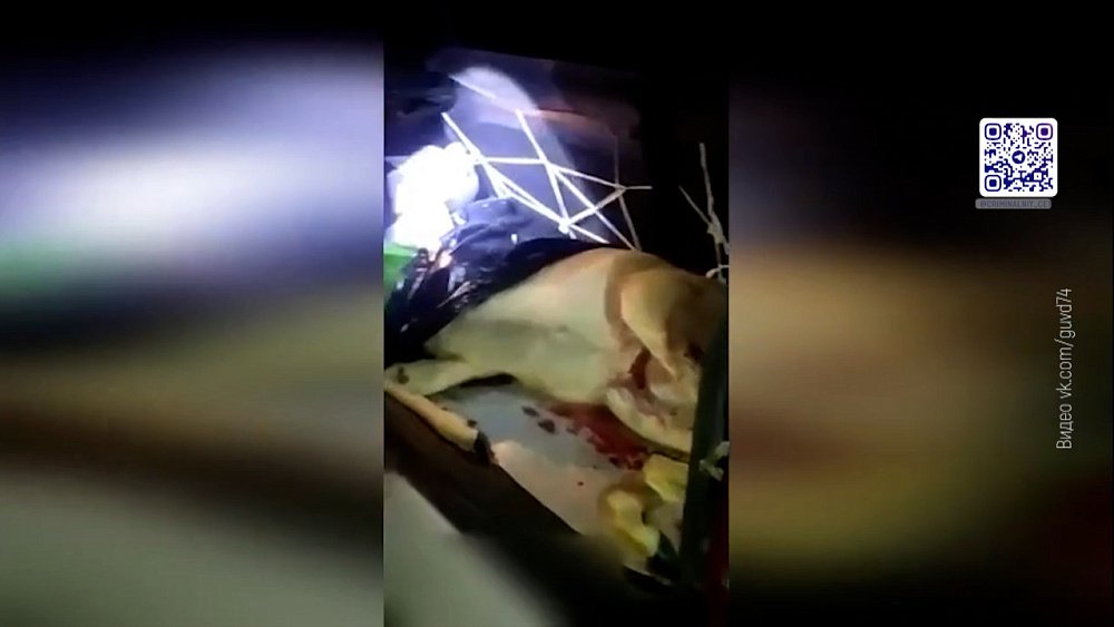 Полицейские поймали браконьеров