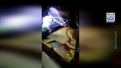 Полицейские поймали браконьеров