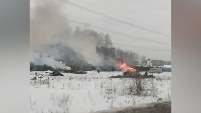 Под Челябинском сожгли кучу елок