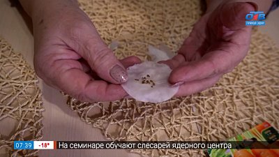 Семена должны пройти проверку в рубрике «Руки садовода»