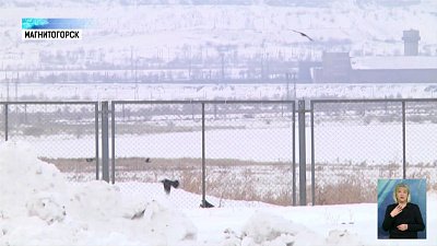 На магнитогорском полигоне завели ястреба