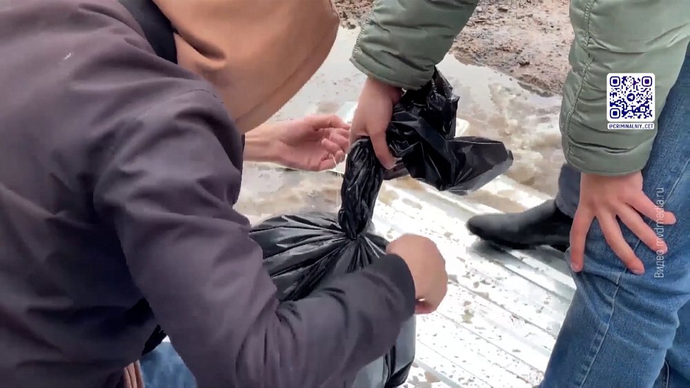 В Копейске осудили закладчиков