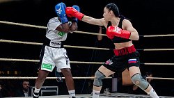 Южноуральские боксеры нокаутировали соперников на вечере бокса в Челябинске