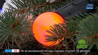 Новогодняя гирлянда своими руками в рубрике «Руки садовода»