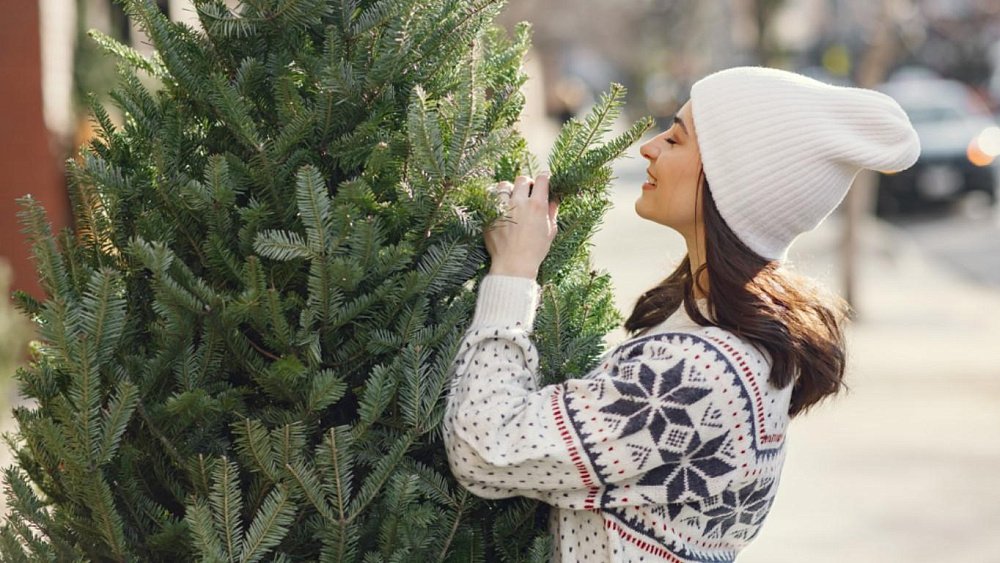 Преимущества натуральной елки в доме