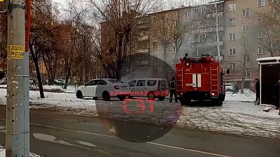 В Челябинске злоумышленники подожгли дерево
