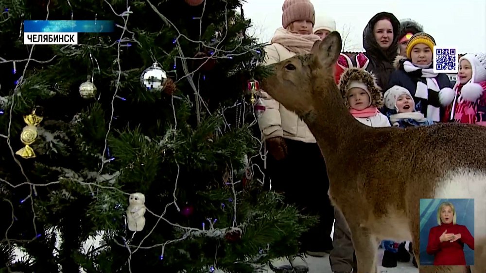 В приюте диких животных прошел утренник