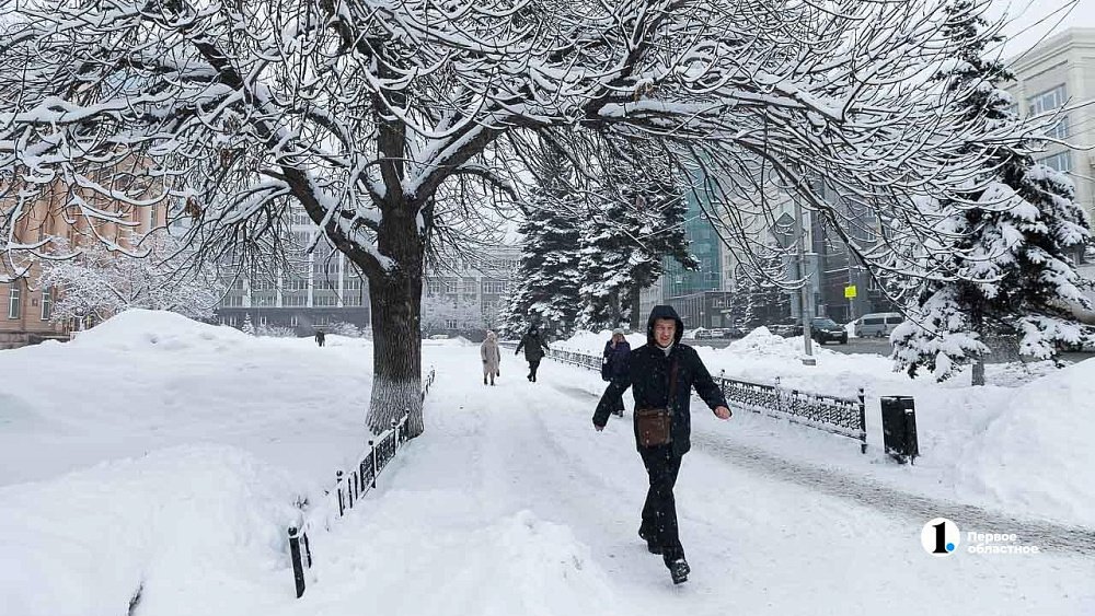 Гидрометцентр предупреждает о сильном снегопаде и метелях в Челябинской области