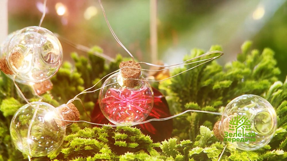 Зеленая передача 05.01.2023