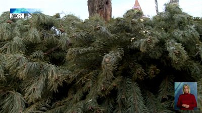 6 купелей подготовят для челябинцев