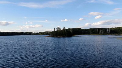 ЭкоЛогика 25.12.2022