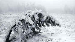 Территория нацпарков и заповедников Челябинской области превысила площадь Кипра