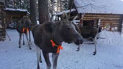 Территория нацпарков и заповедников Челябинской области превысила площадь Кипра