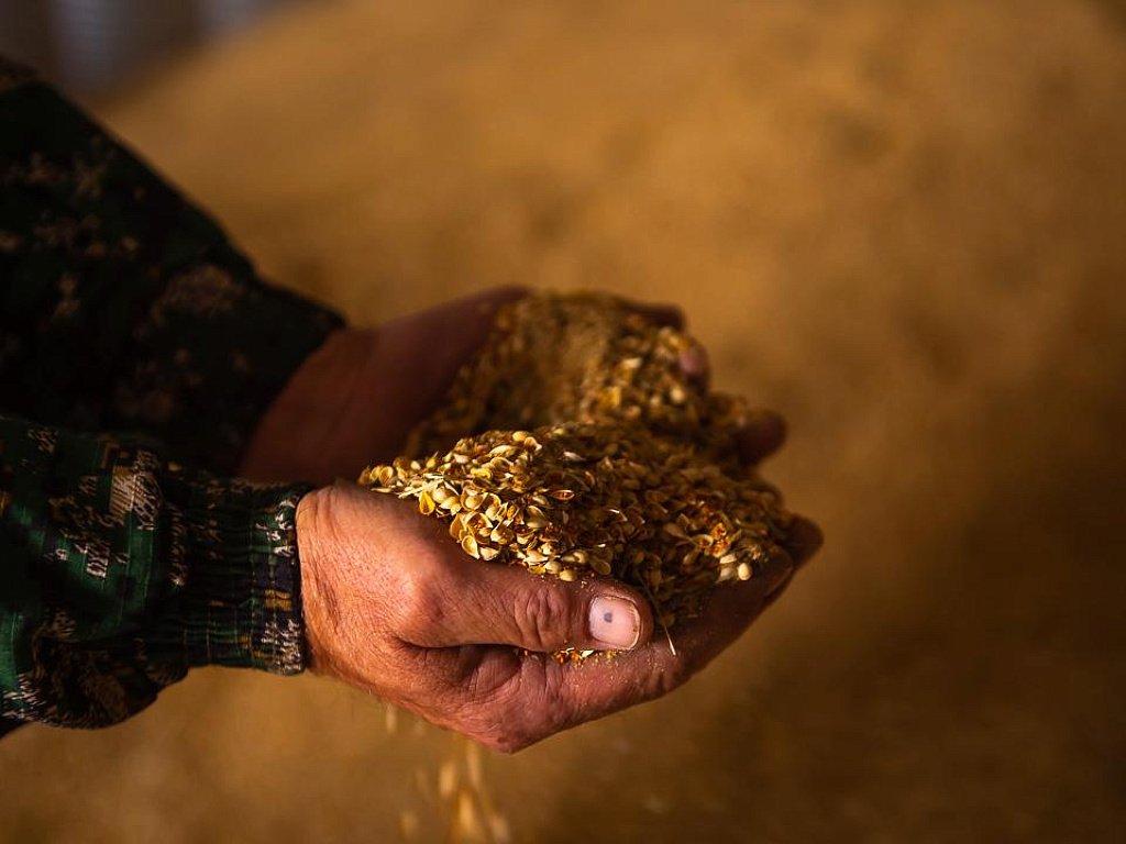 Экспорт челябинск