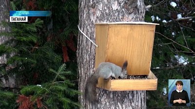 11 января — День заповедников и нацпарков