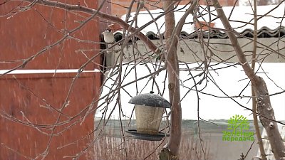 Зеленая передача 12.01.2023