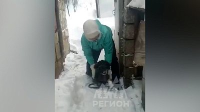В Златоусте волонтёры спасли пса, который вмёрз в снег