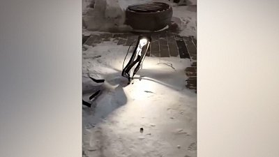 В Челябинске вандалы разгромили сквер на Комсомольском проспекте