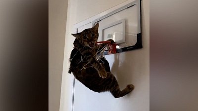 Мех и смех: зеркало, личные границы и затруднительное положение