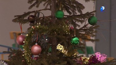 Расстаёмся с лесной красавицей